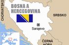 Vydání zadrženého Ganiče požadují Bosna i Srbsko