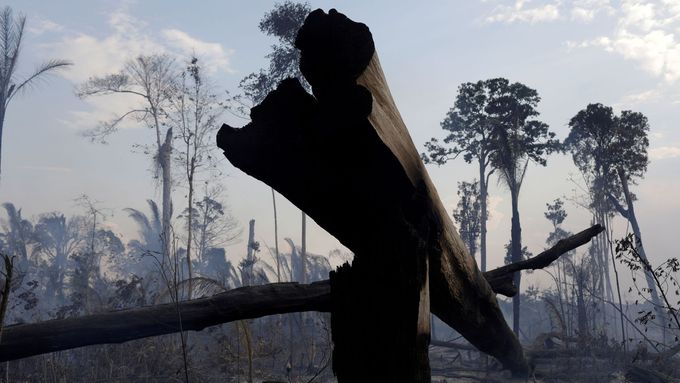 Pohled na Amazonii v Brazílii po požárech