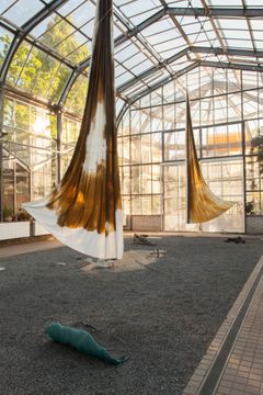 An example of the work of Anna Ročňová. Fan, subtropical greenhouse of the Prague Albertov Botanical Garden, 2017.