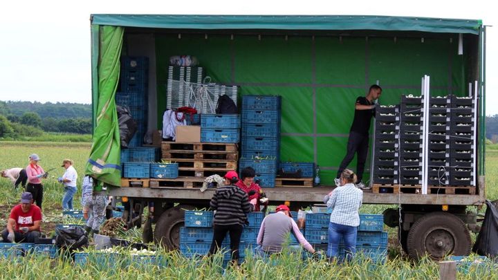 Firma na Nymbursku ubytovala přes 200 uprchlíků z Ukrajiny. Nabídne jim i práci; Zdroj foto: ČTK