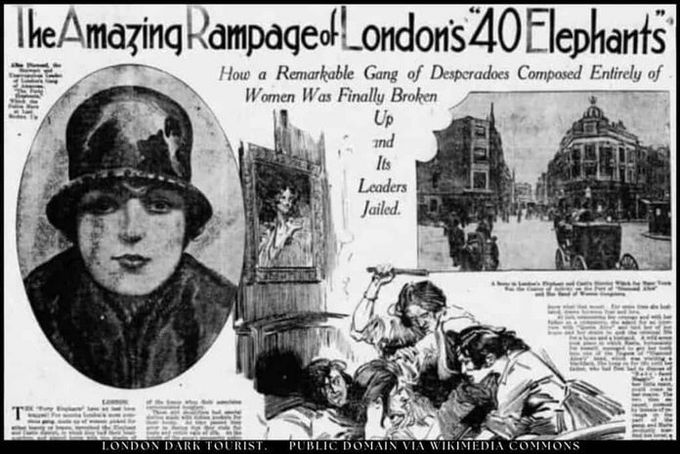 Novinový článek z 20. let 20. století popisuje londýnský gang Forty Elephants, složený výhradně z žen, známý svými krádežemi a organizovaným zločinem.