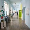 Studentské prezidentské volby