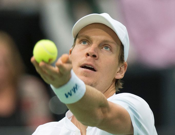 Tenis, Rotterdam: Tomáš Berdych