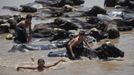 Boys take their baths with buffaloes to cool off on the banks of the Ravi River during a hot day in Lahore July 1, 2012. Temperatures reached 44 degrees Celcius (111 degrees Fahrenheit) in Faisalabad and the weather remained hot in some other parts of the country, the Pakistan Meteorological Department said on their website. REUTERS/Mohsin Raza (PAKISTAN - Tags: ENVIRONMENT SOCIETY ANIMALS) Published: Čec. 1, 2012, 1:31 odp.