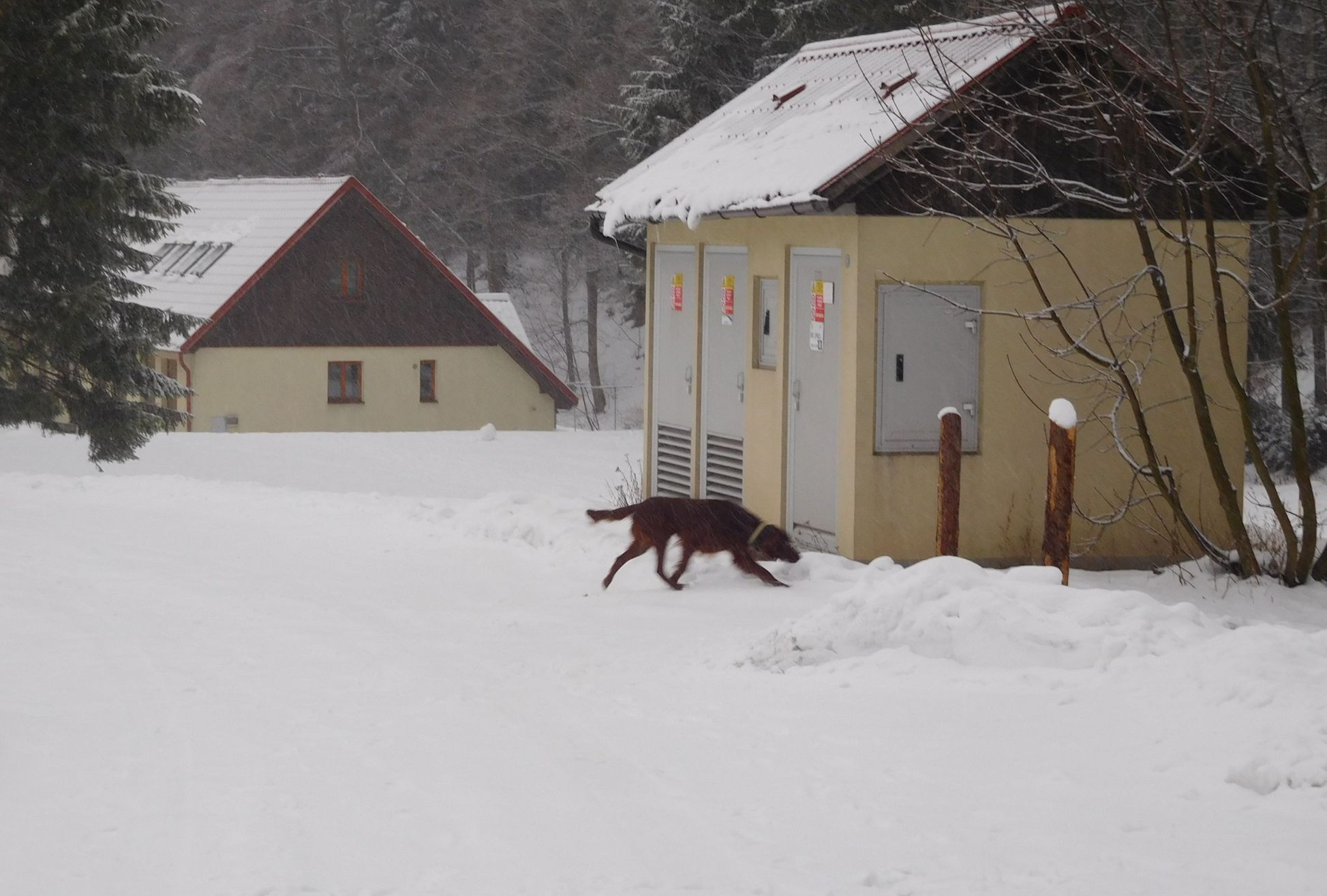 Bílé Vánoce - 24. 12. 2016, Deštné v Orlických horách