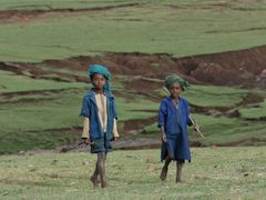 Pastevectví patří v Etiopii mezi nejrozšířenější typy dětské práce