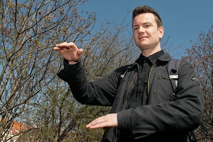 Zeleň v okolí Letné