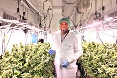 "Hulírna" v Brně už nefunguje. Pěstírna ovšem produkuje víc léčebného konopí než dřív