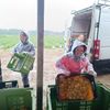 Farma Pech