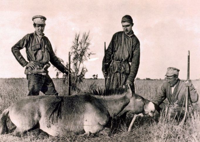 Ruští lovci se zastřeleným hřebcem v Gašunské Gobi