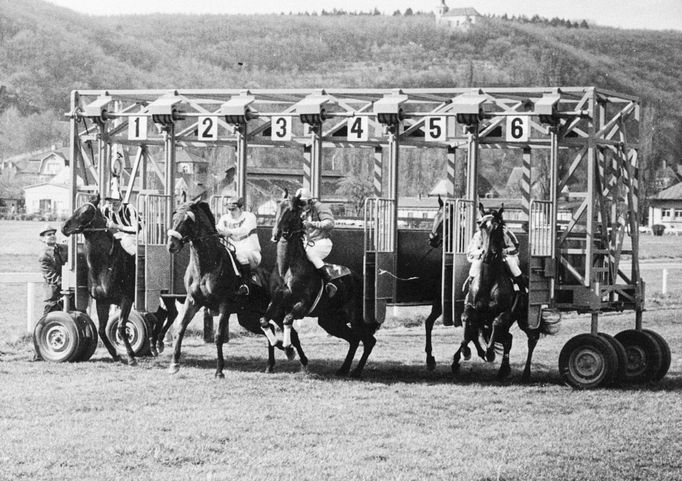 Celkový pohled na závodiště, cca 50- 60. léta (zleva stáj, paddock, cílová věž, vážnice.) Původní tribuny jsou mimo snímek, vpravo.