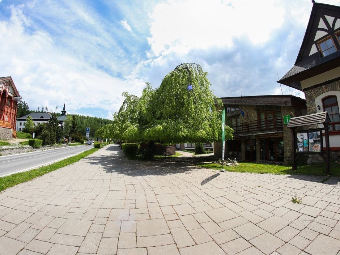 Evropský strom roku - finále -  Slovensko - Tatranský deštník