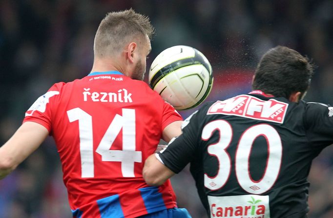 Fotbal, Gambrinus liga, Plzeň - Slavia Praha: Radim Řezník - Martin Dostál