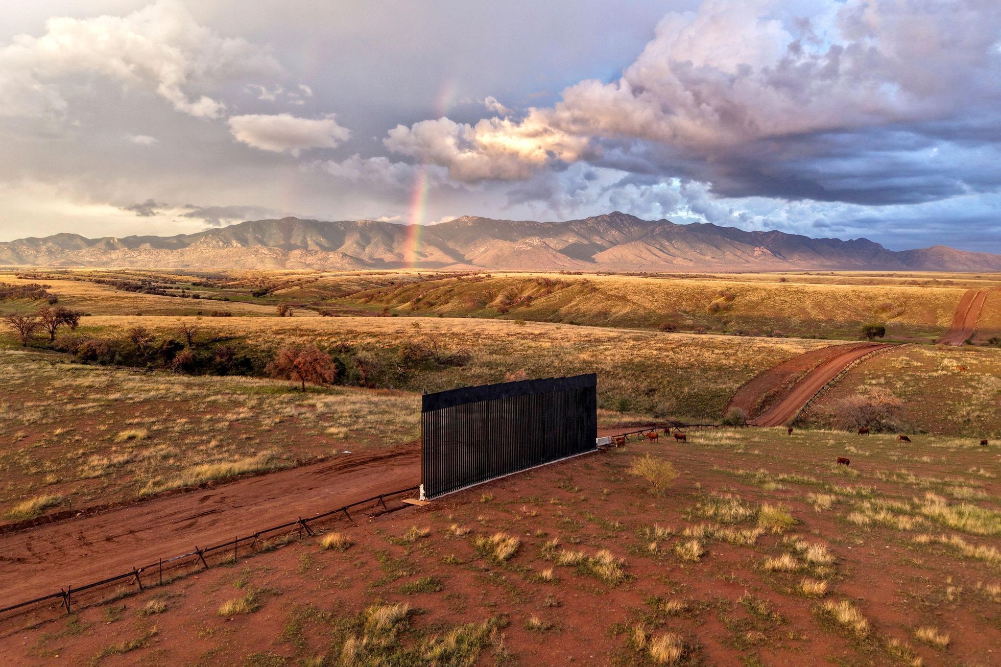 USA, Arizona, Mexiko, hranice, plot, zvířata, migrace