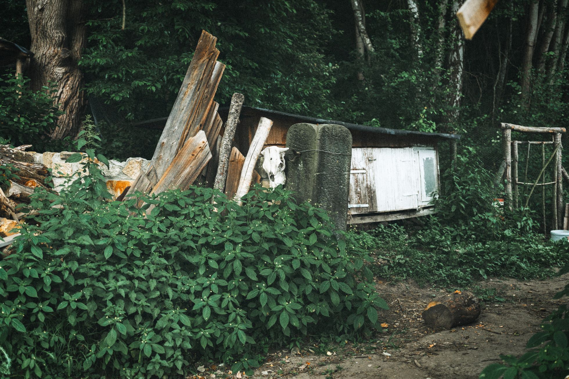 na okraji domov můj, kniha, rodina, bydlení, dům, podnikatel