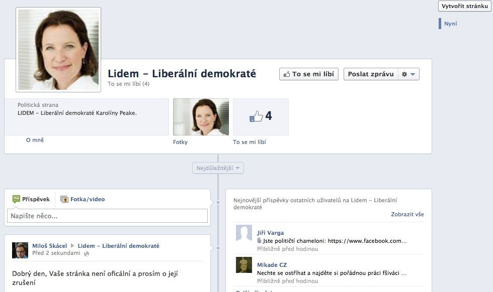 Loga platformy LIDEM