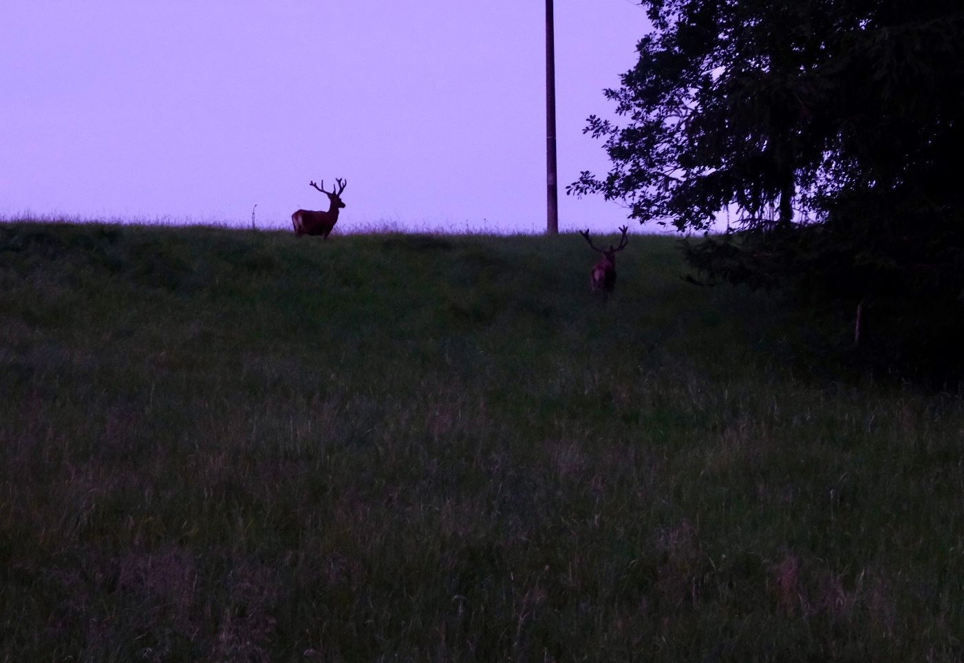ChatkA České Švýcarsko