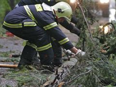 Hasiči odstraňují padlé stromy, které po větrné smršti a přívalových srážkách zatarasily silnici u Třeště na Jihlavsku.
