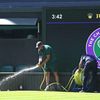 Wimbledon, fanoušci, styl, jahody, 2025