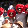Wimbledon, fanoušci, styl, jahody, 2025