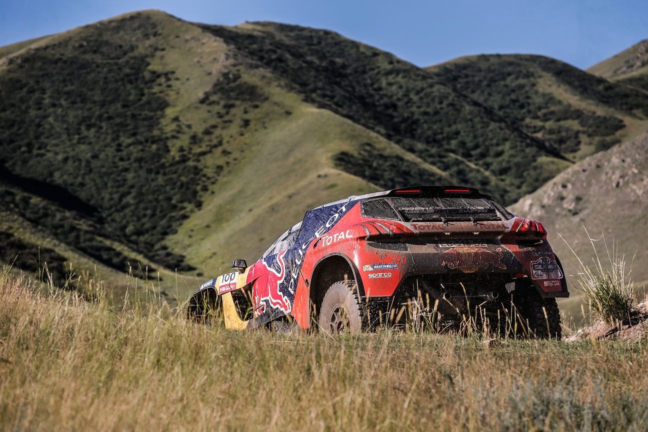 Peugeot 2008 DKR zadobok
