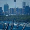 Jachting: start závodu Sydney - Hobart 2013