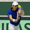 DC, Česko-Francie čtyřhra: Nicolas Mahut