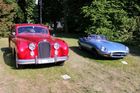 Červený Jaguar Mk VII a Type-E vystavovala veteranistka Markéta Profeldová.