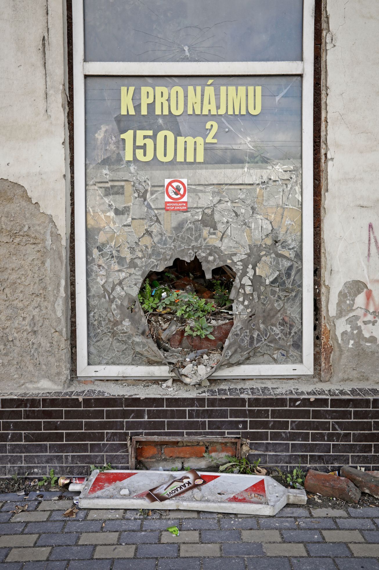 Top foto 2023: Rok očima fotografa Libora Fojtíka