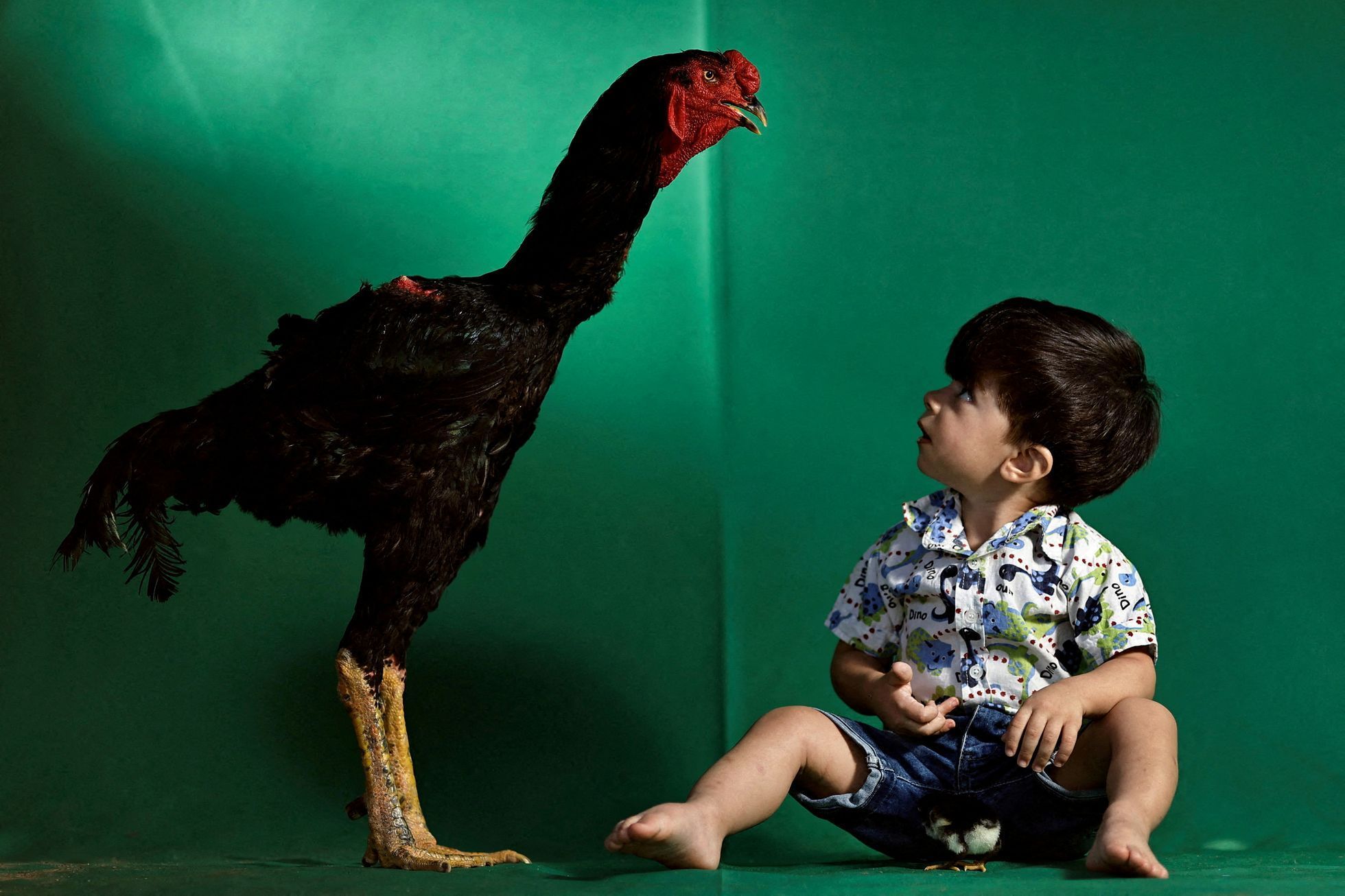 Reuters, nejlepší fotografie, rok 2023, Pictures of the Year 2023, Zahraničí