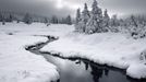 Pavel Ouředník: Šumava