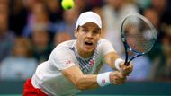 Berdych by si totiž alespoň na čas rád od reprezentace odpočinul, po úvodním kole s Nizozemskem se chce víc zaměřit na individuální turnaje.