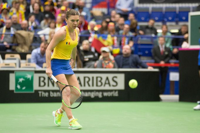 Halepová vs. Siniaková, Fed Cup, Česko - Rumunsko