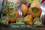 Ústecký kraj: mléčné výrobky z vlastní farmy v Držovicích.Zásadně bio - žádná chemie pro ošetřování půdy, rostlin ani zvířat. Zdravé i chutné.