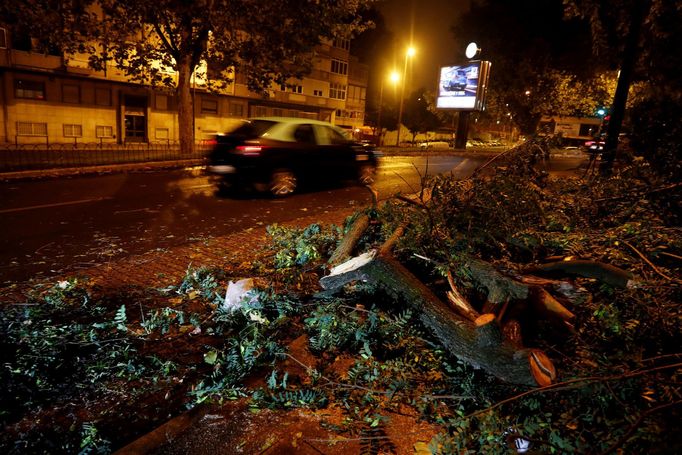 Bouře Leslie za sebou zanechala v Portugalsku polámané stromy i poničené střechy.