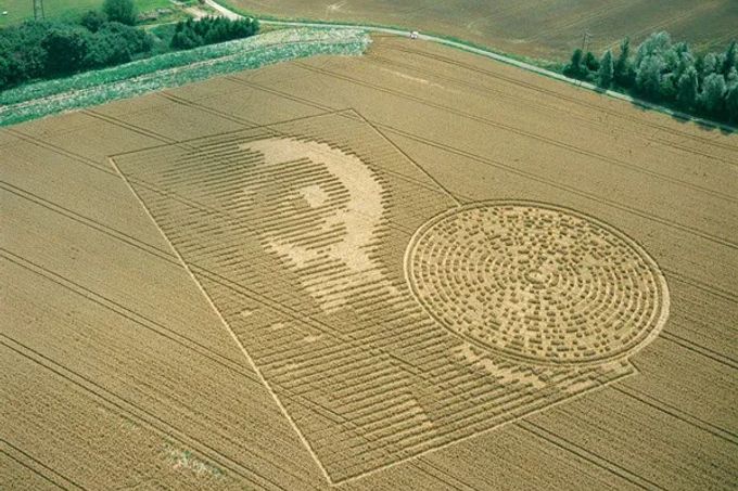 Crab Wood, Sparsholt, Winchester (2002)