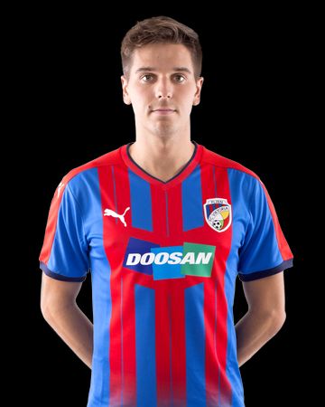 Čermák Aleš, FC Viktoria Plzeň