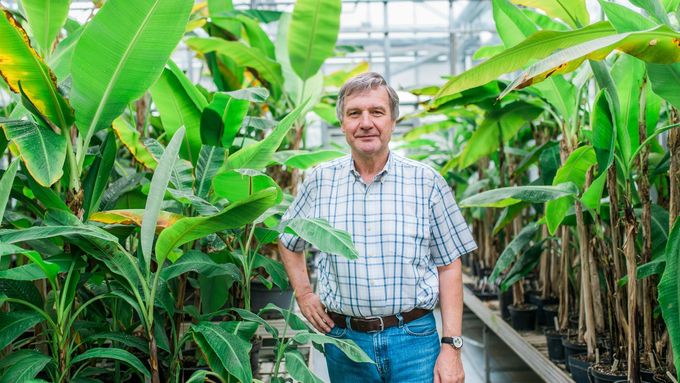 "Spojení Hané s výzkumem banánovníků mi lichotí, hrdě se tím pyšníme na mezinárodních konferencích," přiznává Jaroslav Doležel.