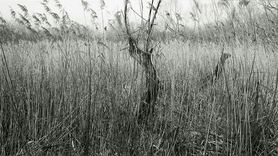 Možná se ukáže, že iPhone je něco jako nová Leica, říká učitel fotografů Zdeněk Stolbenko