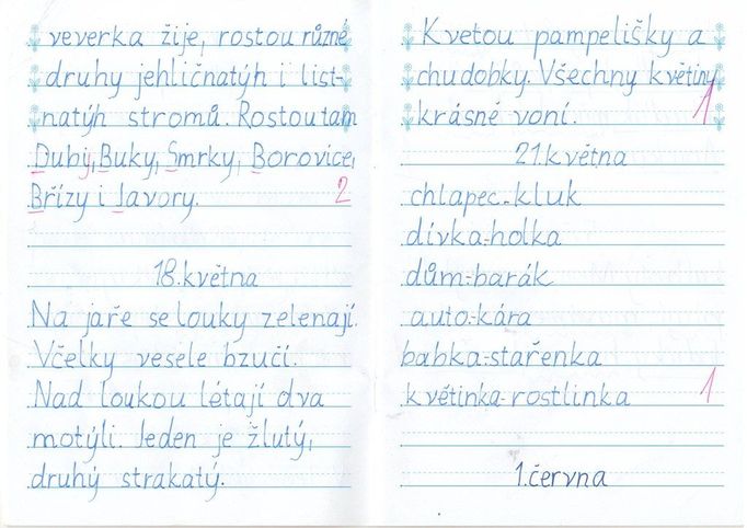 "Písmo je jednodušší, rychleji se nacvičuje, děti píšou rády a často se dožadují dalších úkolů ze psaní. Pocit úspěšnosti zažívají mnohem častěji i žáci se specifickými výukovými obtížemi," říká Eva Martincová ze Základní školy Rosice.