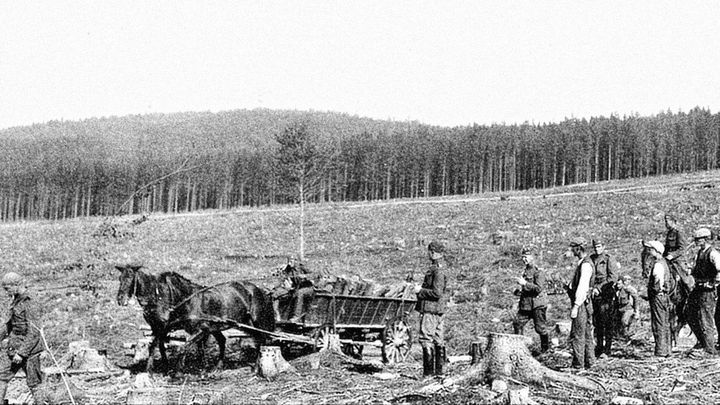 Brdy se změnily v přírodní unikát, přestože je před 95 lety zabrala a "ničila" armáda