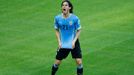 Uruguay's Edinson Cavani celebrates his goal against Costa Rica during their 2014 World Cup Group D soccer match at the Castelao arena in Fortaleza, June 14, 2014. REUTER