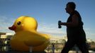 Giant Duck In Sydney Jan. 12, 2013 - Sydney, Australia - January 12, 2013 - Sydney, Australia - A runners past through Rubber Duck on January 12, 2013 in Darling Harbour, Sydney, Australia. The giant 15 x 15 meters Rubber Duck sculpture, create Netherland artist Florentijn Hofman, will be a part of Sydney Festival 2013 until 23 January 2013..