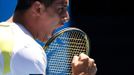 Australian Open: Nicolas Almagro