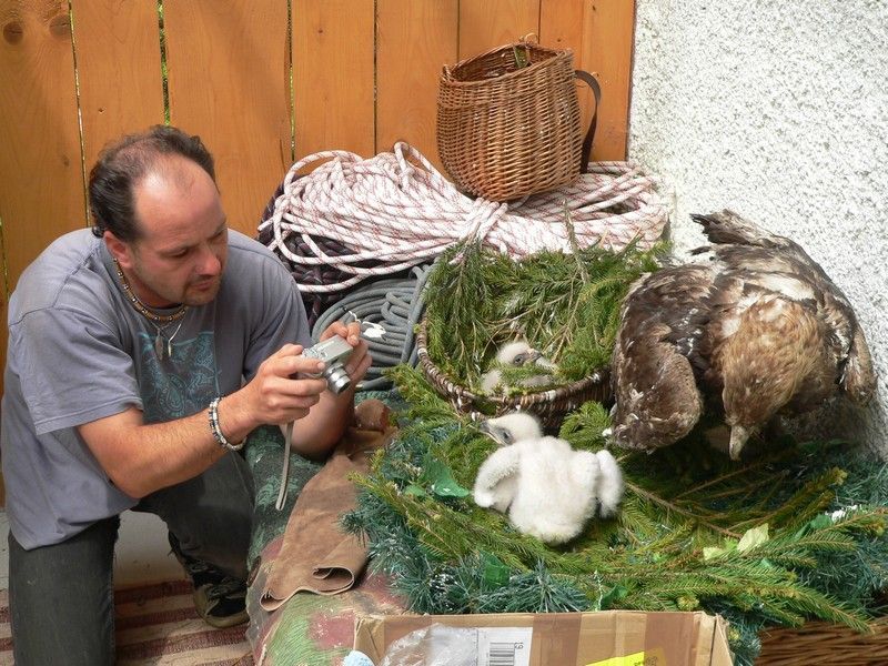 Fotografování mláďat