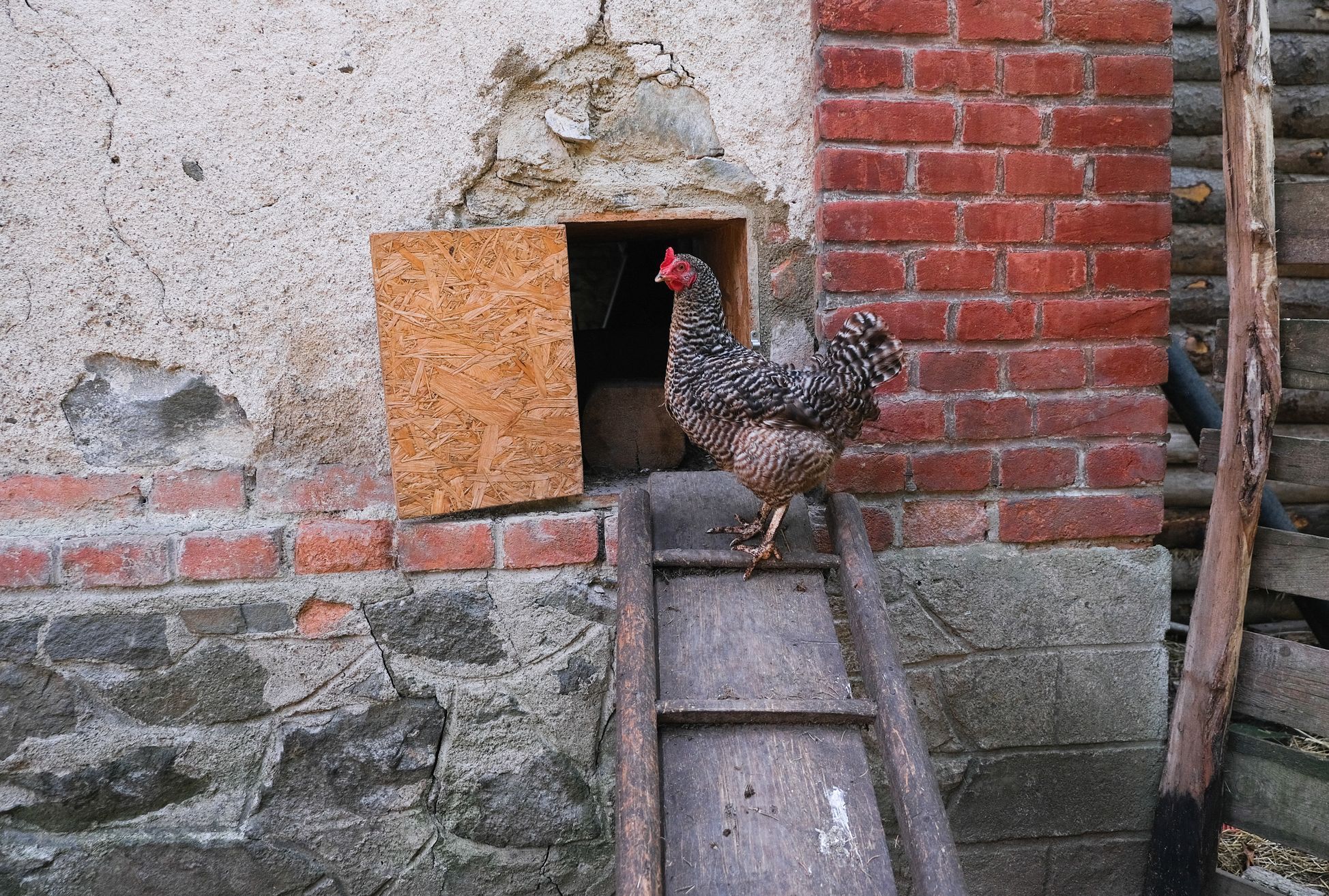 Náš mlýn v Hradčanech