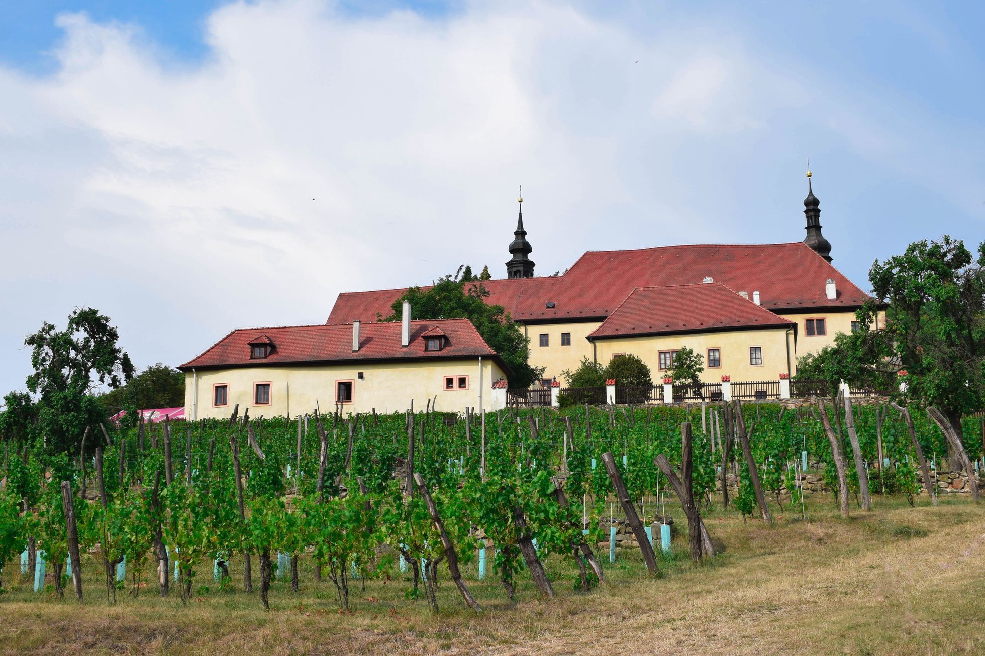 Kadaň, Ústecký kraj, reportáž, Františkánský klášter, vinice, víno, Klášter čtrnácti sv. Pomocníků