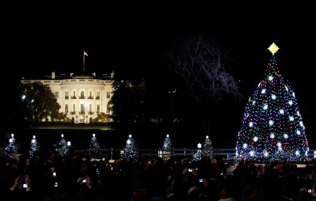 Vánoční strom - Washington DC - White House
