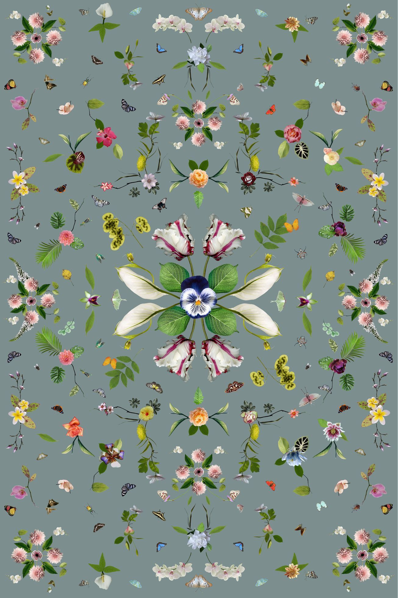 Komerční foto - Moooi Carpets