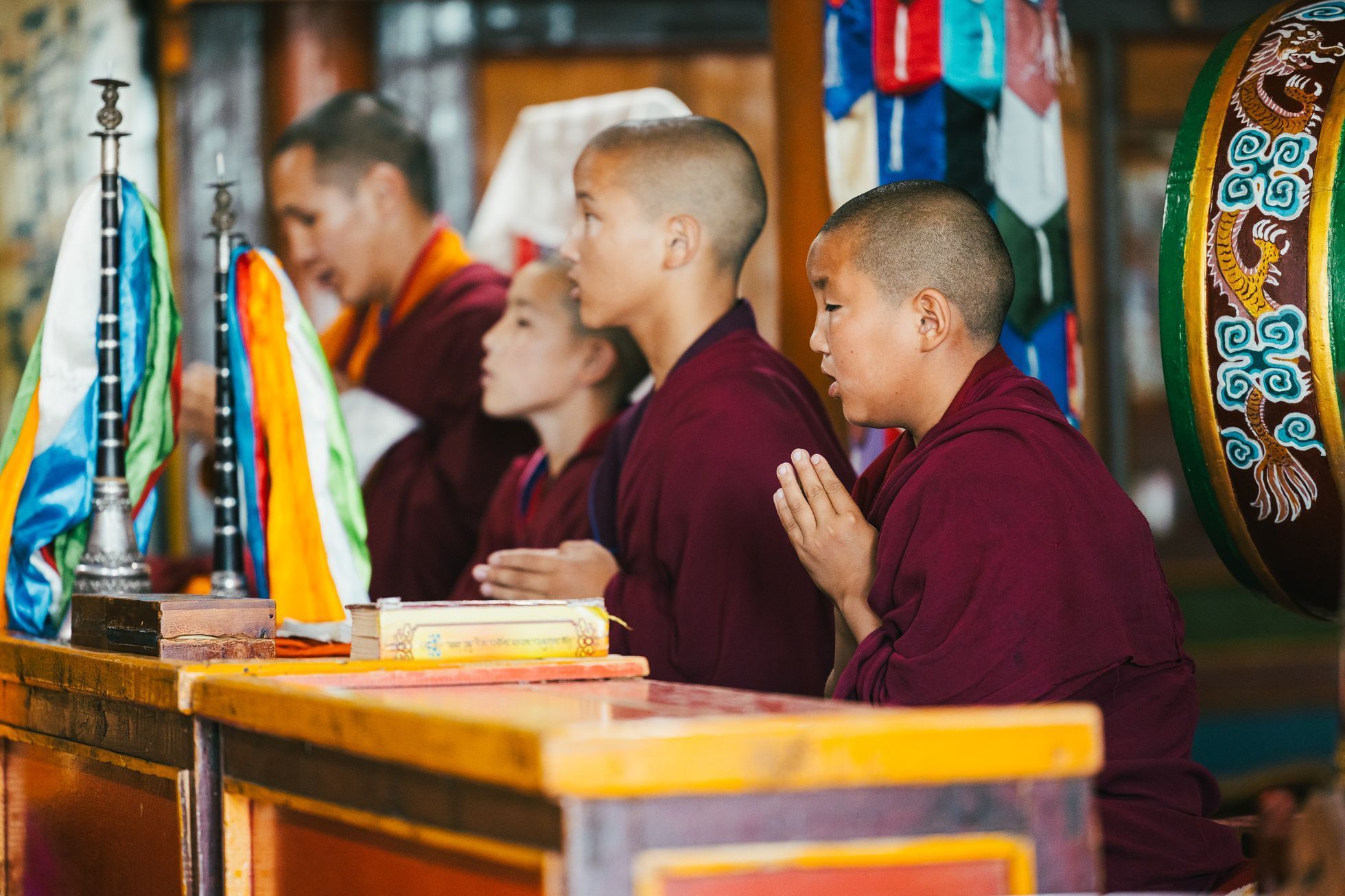 Žlutá žába Dan Přibáň